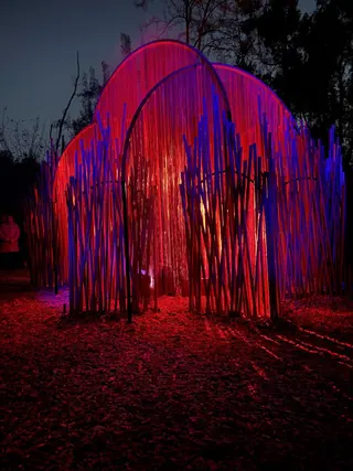 Light Cycles image 4