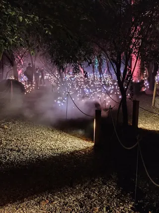 Light Cycles image 5