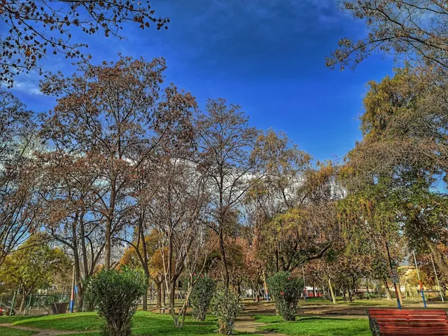 Los Presidentes Park, Ñuñoa, Santiago