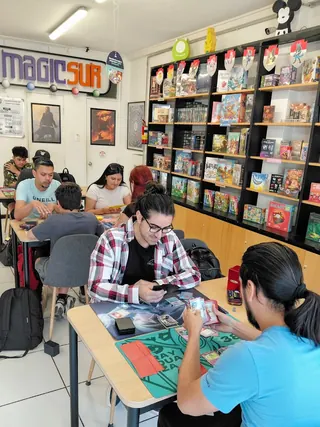 Magicsur Chile image 4
