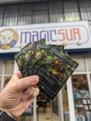 Magicsur Chile image 5