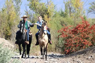 Maipo Wine Tours image 4
