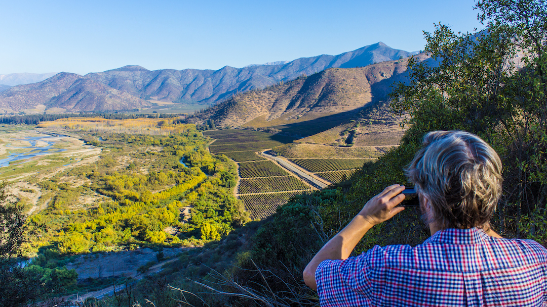 Wine Tours