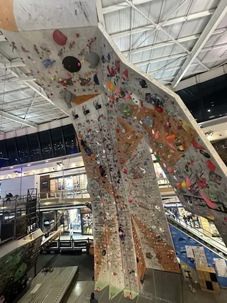Mall Sport image 4