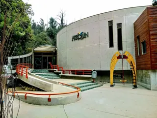 Museo Artequin Viña del Mar image 3