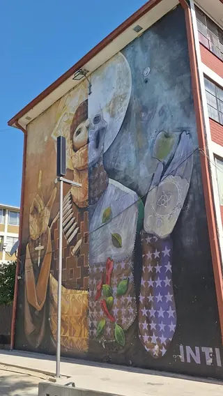 Museo Cielo Abierto image 2