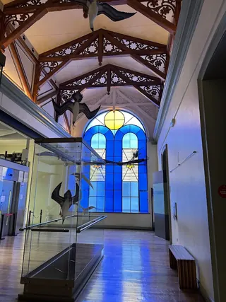 Museo de Historia Natural de Valparaíso image 5