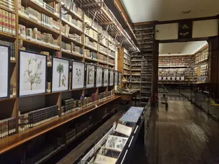 Museo Nacional Histórico Recoleta Domínica (MNHRD) image 3
