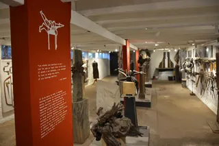 Museo Vivo Félix Maruenda image 3