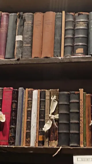 Museum of Pharmacy Professor Cesar Leyton Garabagno image 2