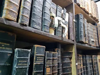 Museum of Pharmacy Professor Cesar Leyton Garabagno image 3