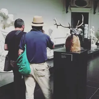 National Museum of Fine Arts image 2