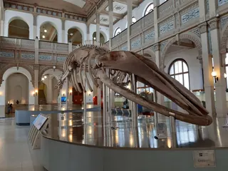 National Museum of Natural History image 1