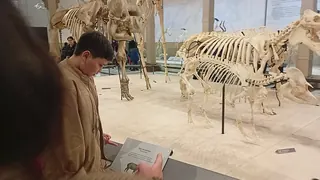 National Museum of Natural History image 2