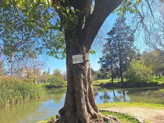 O’Higgins Park image 5