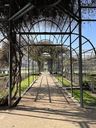 Parque Araucano image 4