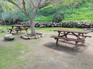 Parque Cerro Blanco image 4