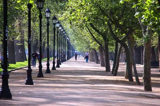 Parque Forestal image 3