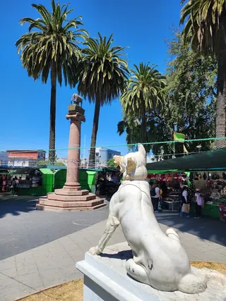 Parque Italia image 4