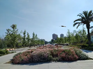 Parque Los Dominicos image 5