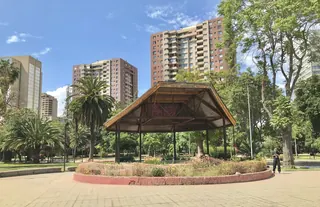 Parque San Borja image 3
