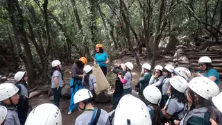 Parque SEL image 4