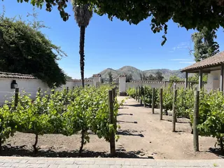 Parque y Casona de la Viña Santa Rita image 1