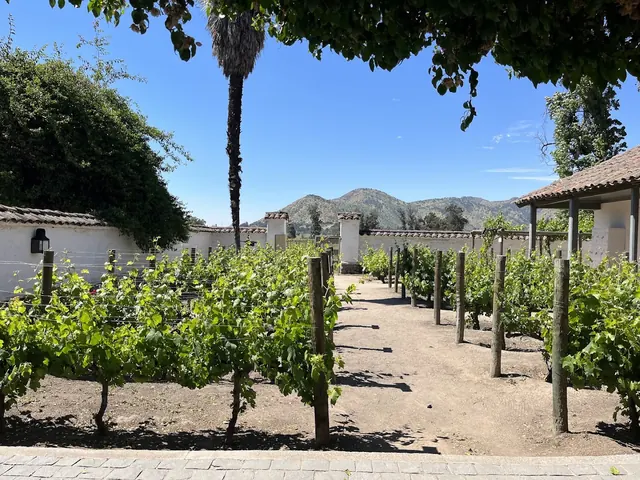 Parque y Casona de la Viña Santa Rita, Buin, Santiago