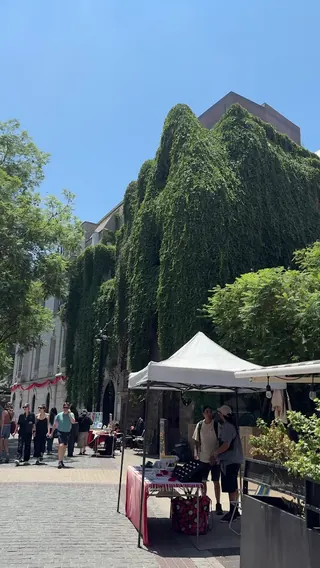 Paseo José Victorino Lastarria image 4