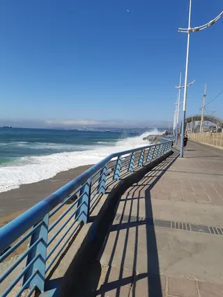 Paseo Wheelwright image 5
