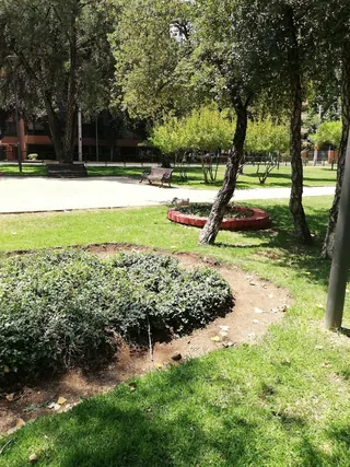 Plaza Brasilia image 4