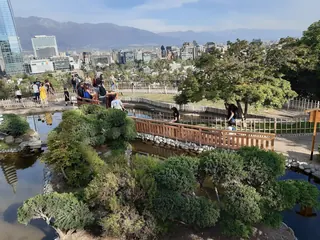 Plaza Centenario Parquemet image 4