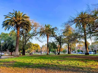Plaza Ercilla image 2