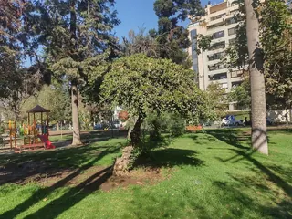 Plaza Eusebio Lillo image 5