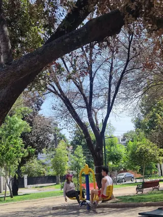 Plaza Guillermo Franke image 3