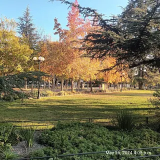 Plaza Las Lilas image 3