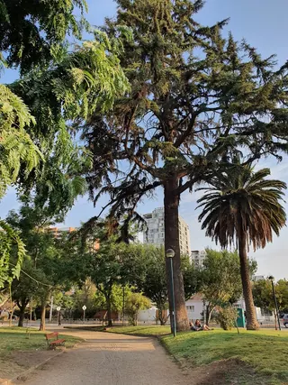 Plaza Pedro Montt image 3