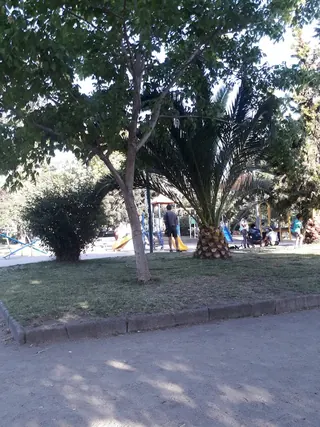 Plaza Pedro Montt image 4