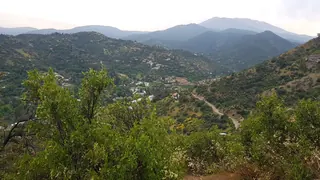 Pochoco image 3