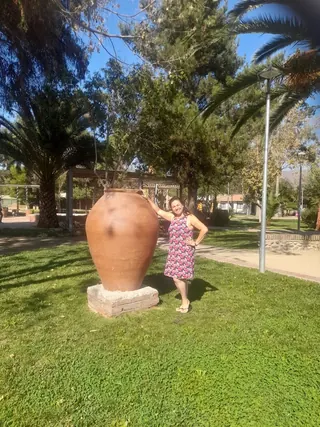 Pomaire Plaza image 5