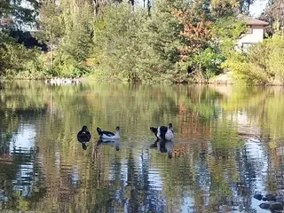 Pyt's Park image 2