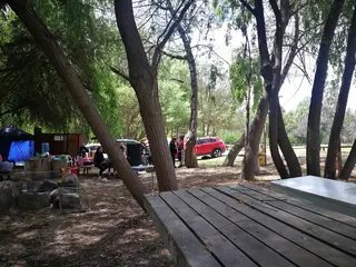 Pyt's Park image 3