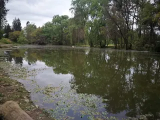 Pyt's Park image 5