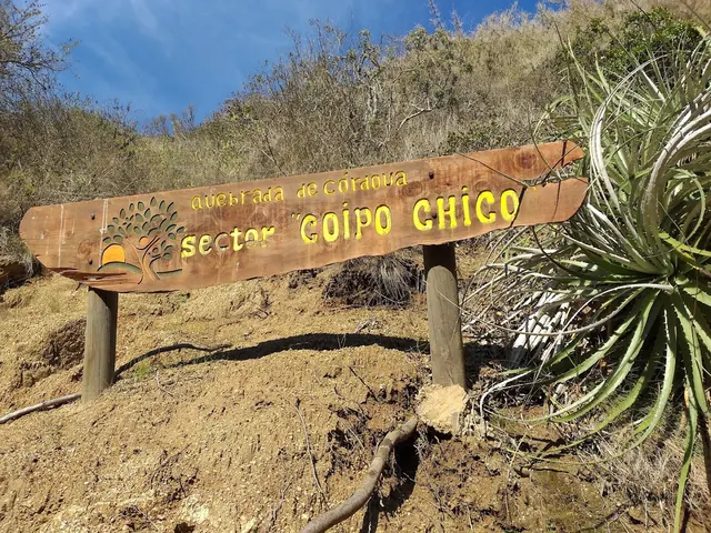 Quebrada De Cordova, El Tabo, Santiago