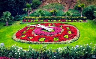Reloj de Flores de Viña del Mar image 1