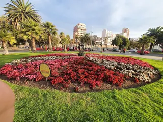 Reloj de Flores de Viña del Mar image 3