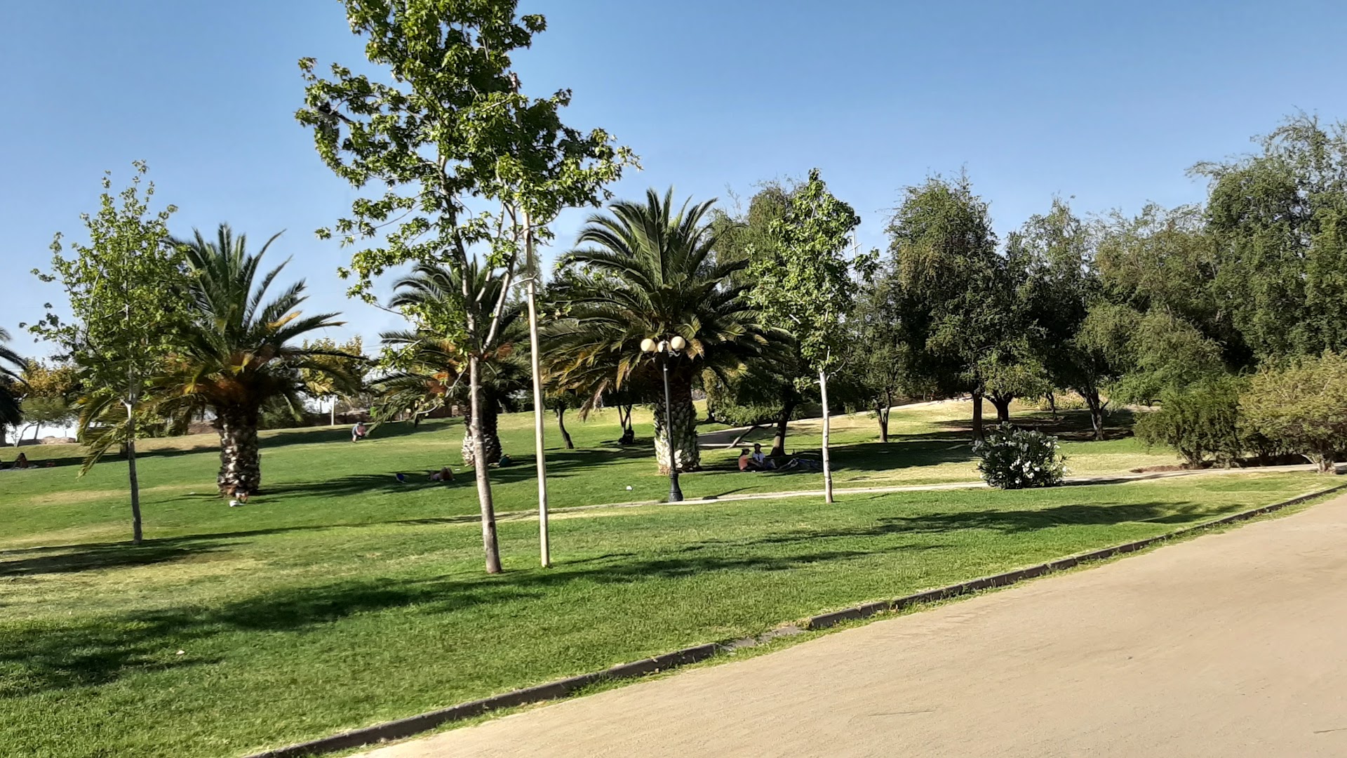 Reyes Park