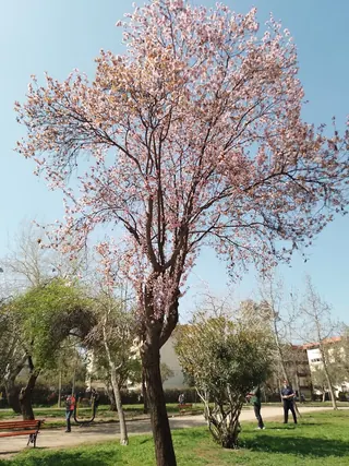 San Eugenio Park image 3