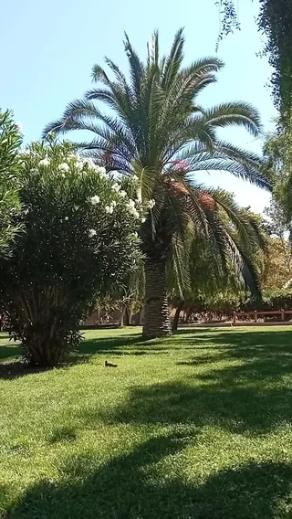 Santa Mónica Park image 2