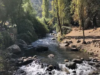 Santuario de la Naturaleza El Arrayán image 3